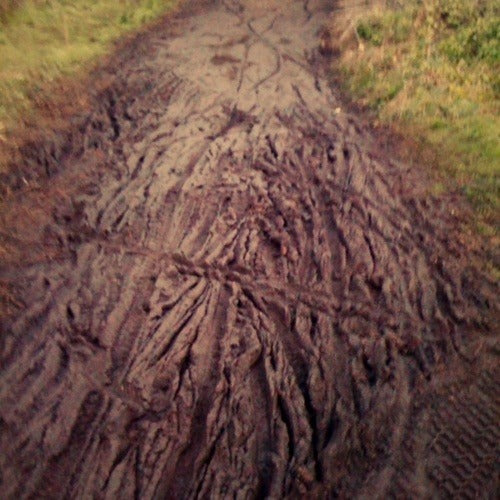 The day after