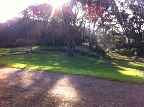 BUILDING SSCXWC OR GARDENING IN GG PARK?