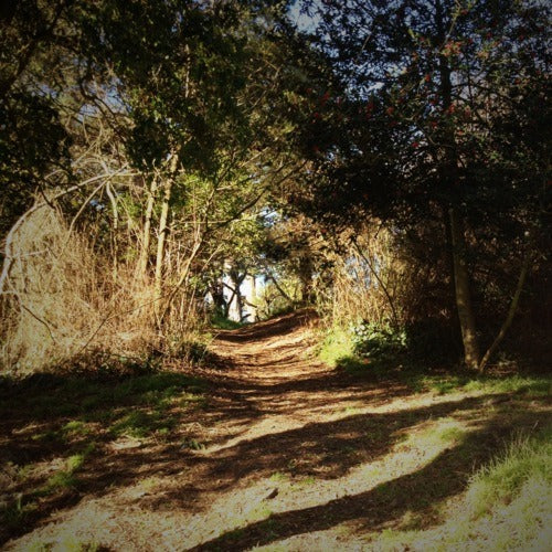 TUESDAY AM CX