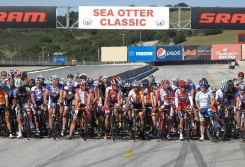 SEA OTTER 2012