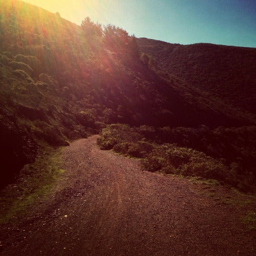 TUESDAY AM RIDES