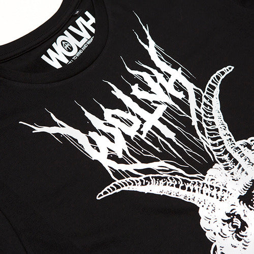 NEW DELIVERIES