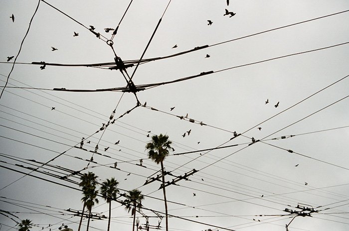 SF RANDOMNESS FROM JOHN WATSON