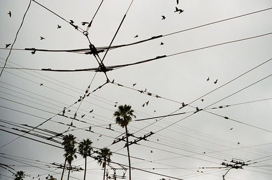 SF RANDOMNESS FROM JOHN WATSON