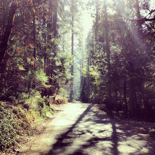 Tuesday AM Ride