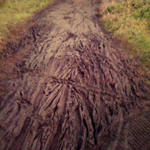 TUESDAY AM RIDE: GG PARK IN THE RAIN