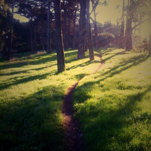 Tuesday AM Ride CX 10-11-11