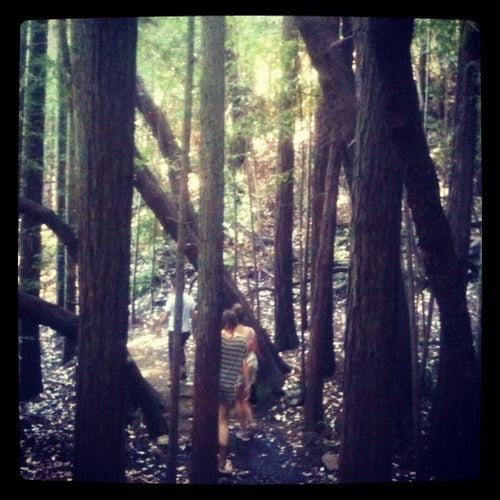 Tuesday Morning Adventure