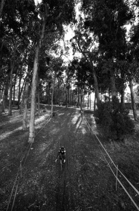 Tuesday AM: CX Training