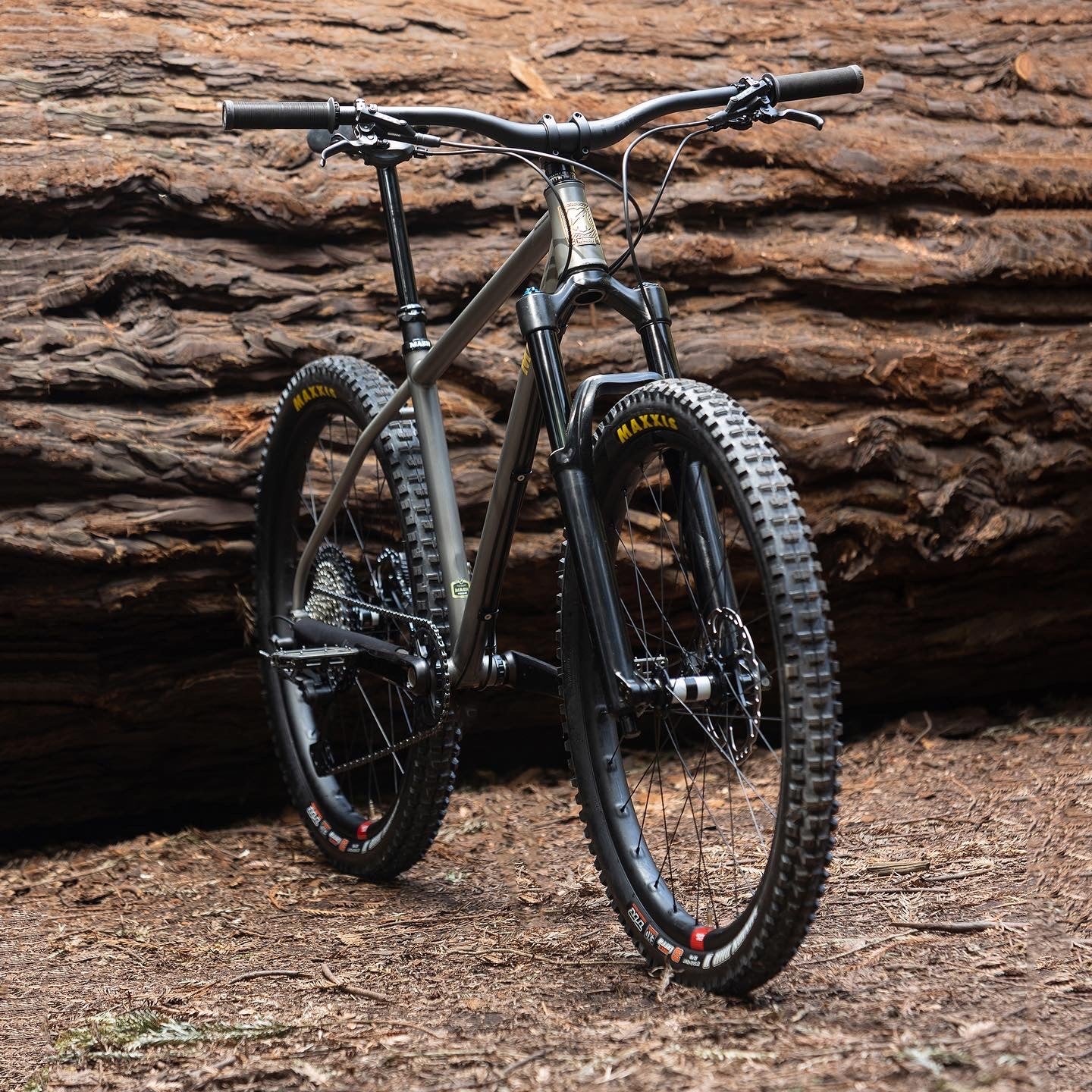 MASH Steel Hardtail Frame