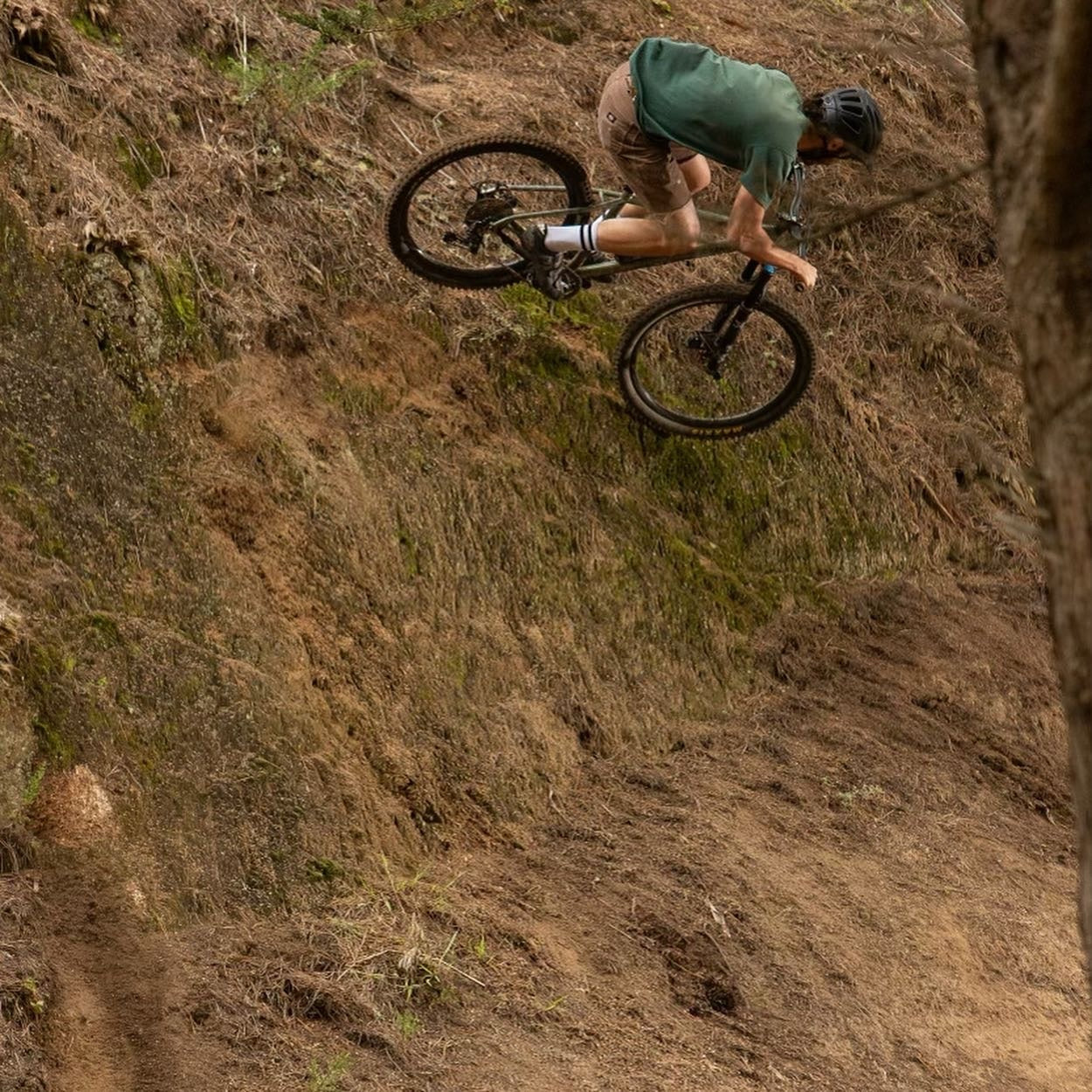 MASH Steel Hardtail Frame