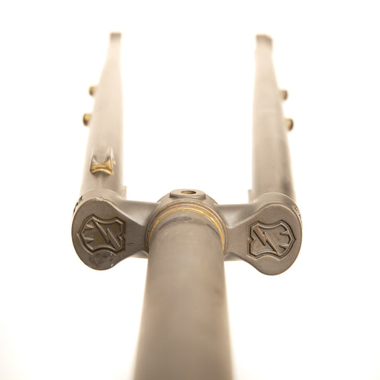 MASH Steel Disc Fork 1 1/8 Thru Axle Phosphate